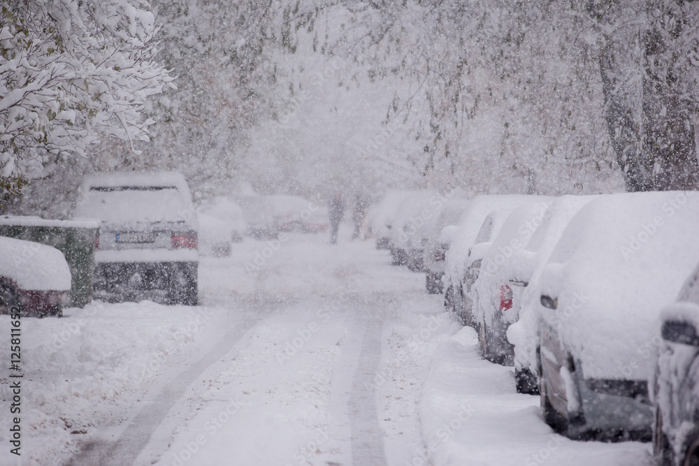 If it snows. Снежный шторм. дом 2025 зимой. xorazm ob havo. is about as transparent as a siberian snowstorm.