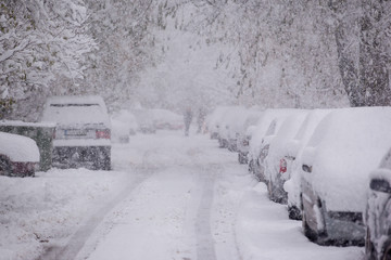 Parked cars covered with snow - snow storm