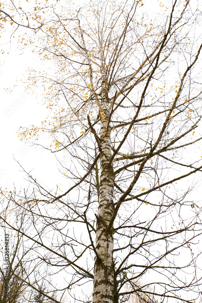 Different views of autumn scenery Different views of autumn scenery