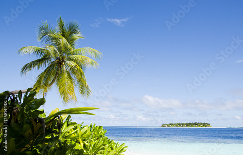 Maldives island  Ihuru
