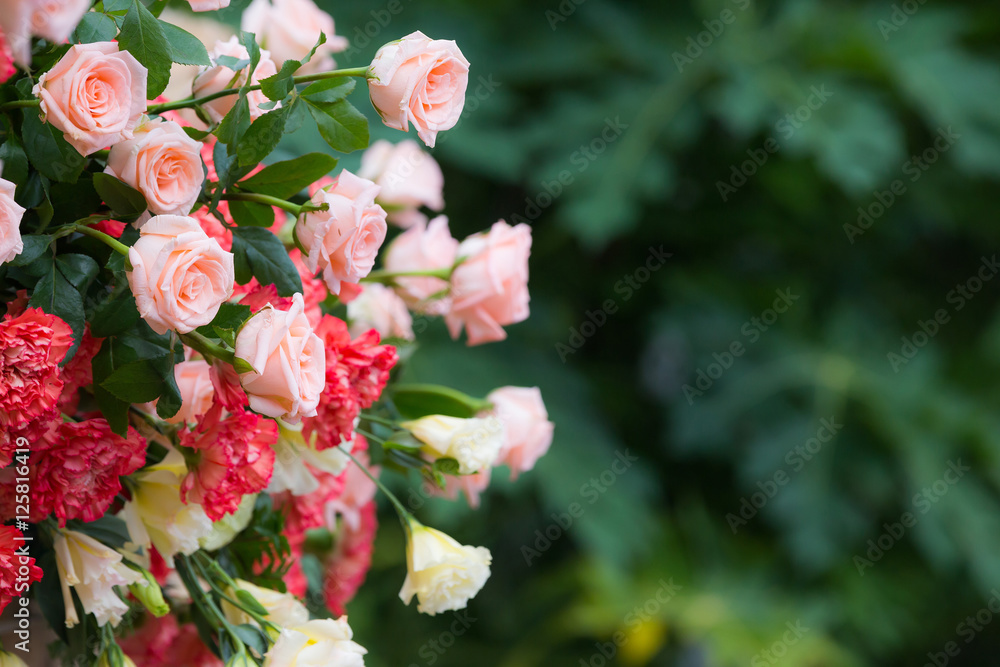 Beautiful flowers background for wedding scene and event Beautiful flowers background for wedding scene and event