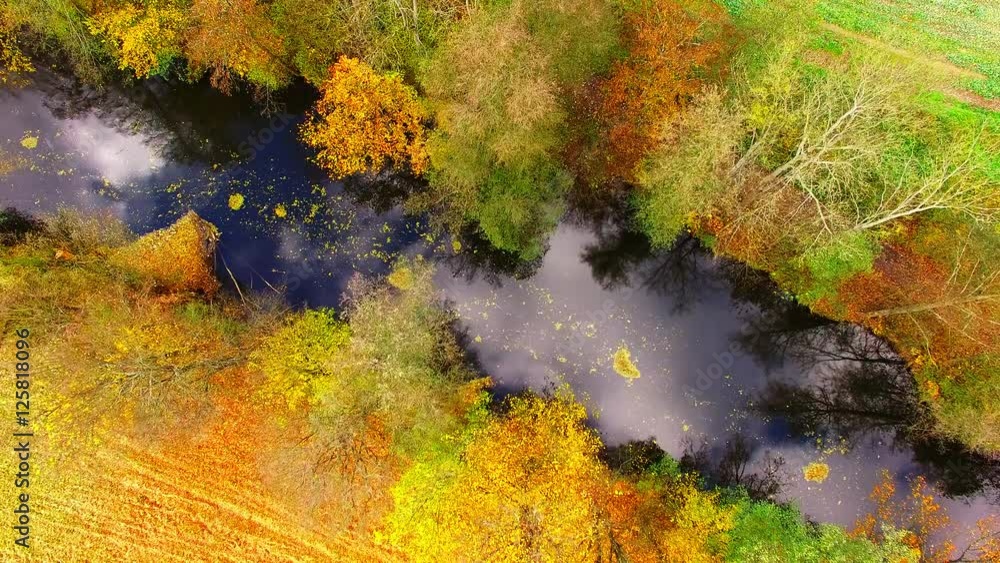 Camera flight over Radbuza river. Colorful autumn on Czech countryside. European nature from above. Camera flight over Radbuza river. Colorful autumn on Czech countryside. European nature from above.