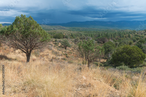 High mountain wilderness photo