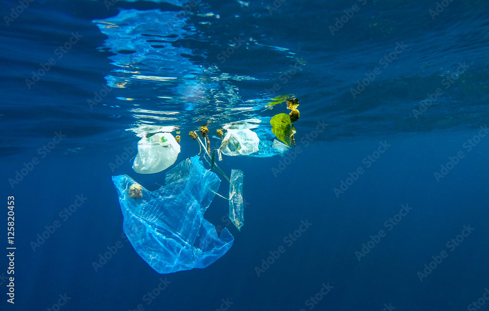 Marine pollution of plastic - obrazy, fototapety, plakaty 