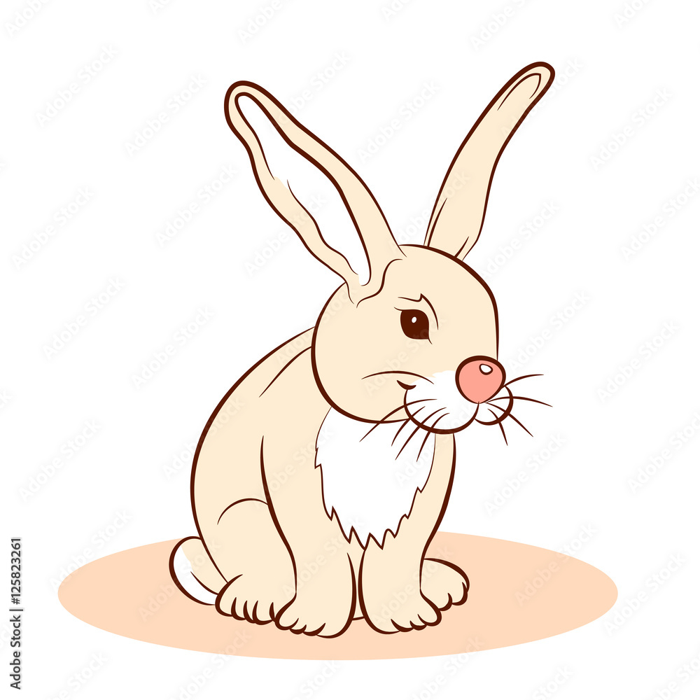 rabbit vector illustration cartoon rabbit vector illustration cartoon
