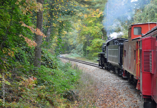 Smoky Mountain Railway, North Carolina, USA