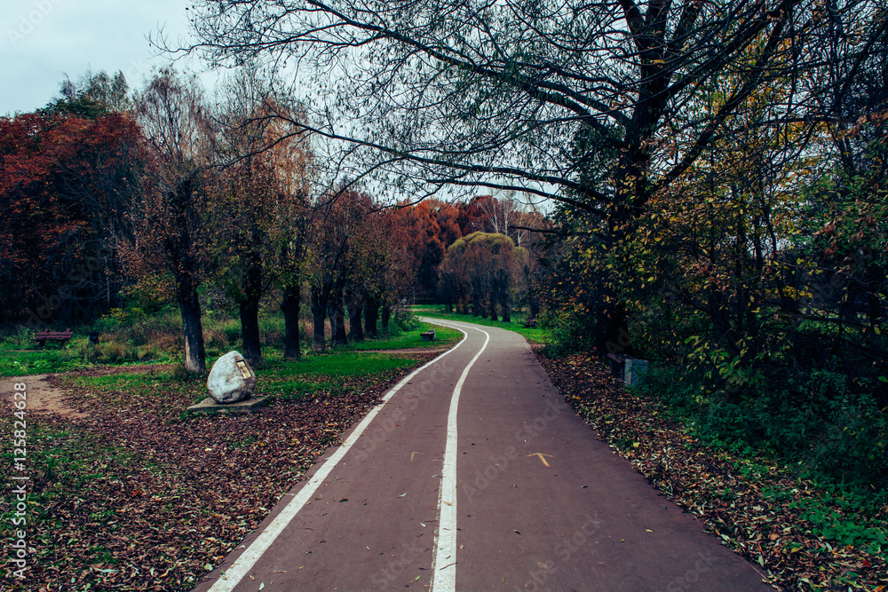 Naklejka premium Осенний парк. 6