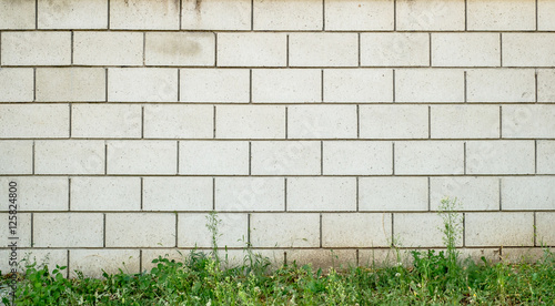 White concrete brick wall with grass