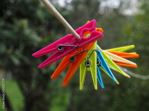colored clothes pegs