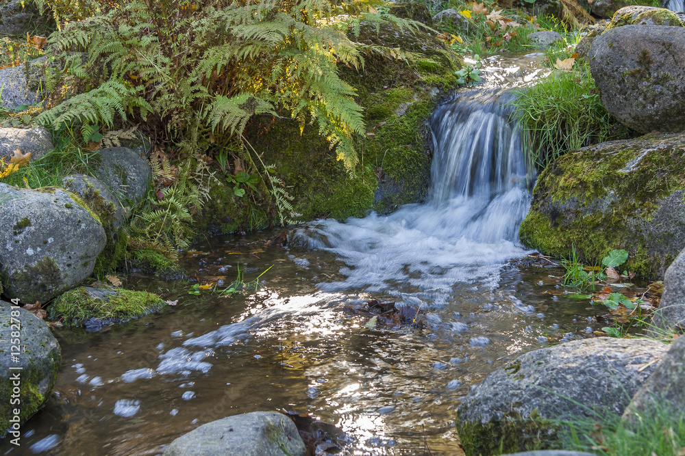 Small Autumn Waterfall in a City Park Small Autumn Waterfall in a City Park