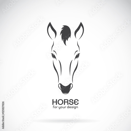 Vector image of a horse head design on white background, Vector