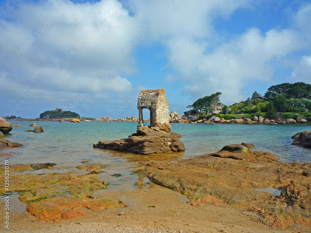 Bretagne, Ploumanach, côte de granit rose