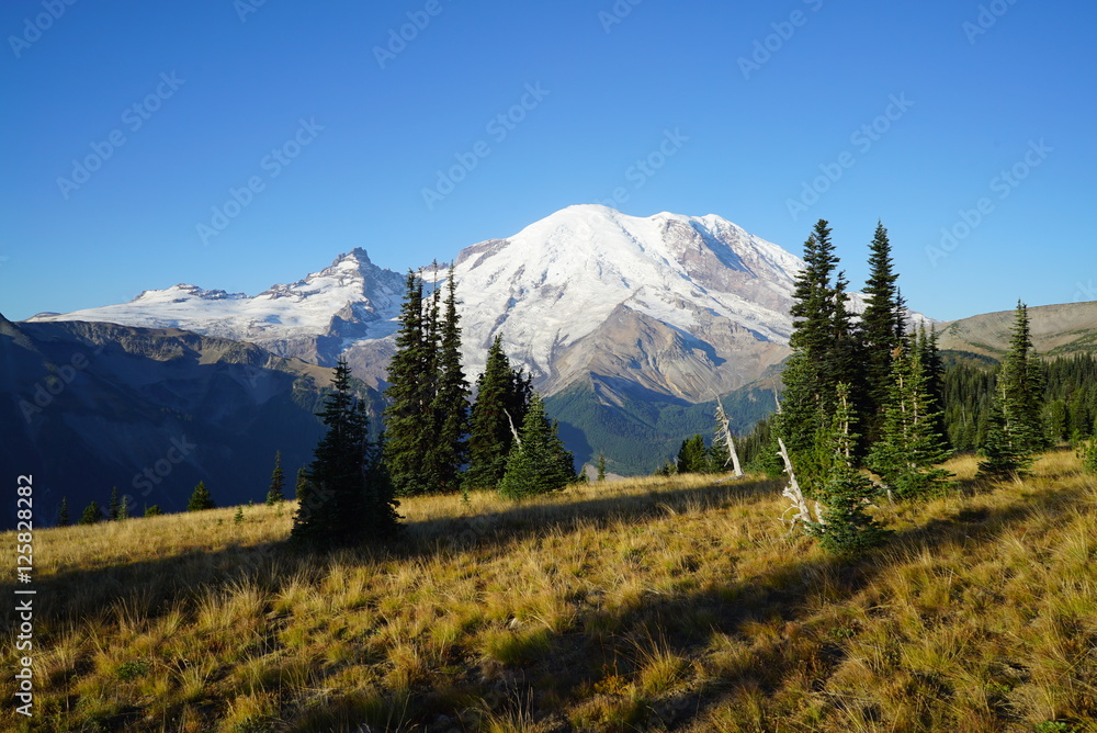Mount Rainier clear blue sky Mount Rainier clear blue sky