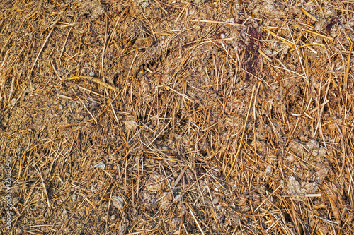 Organic Fertilizer made by dry cow dung, manure photo