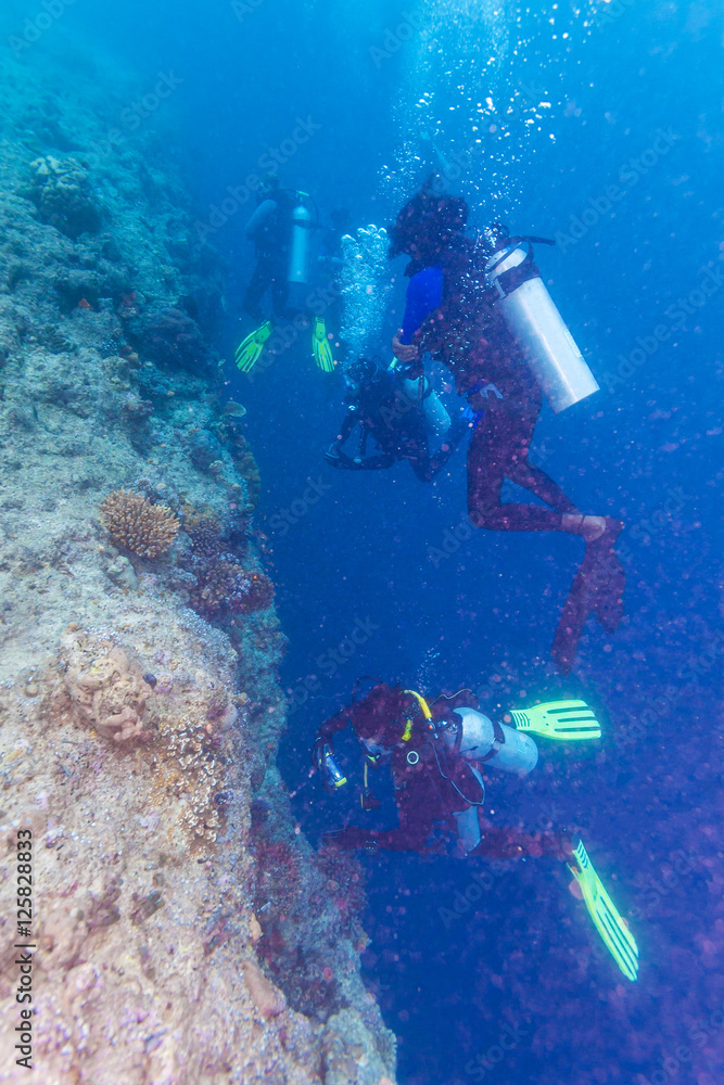 A group of divers near a coral wall A group of divers near a coral wall