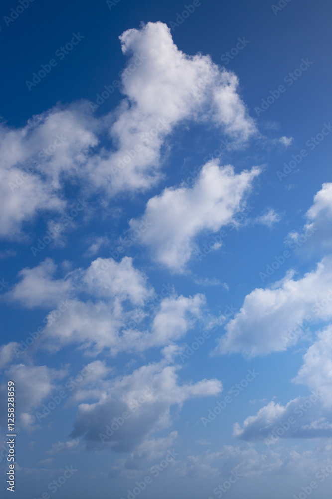 Obraz premium Cloudscape