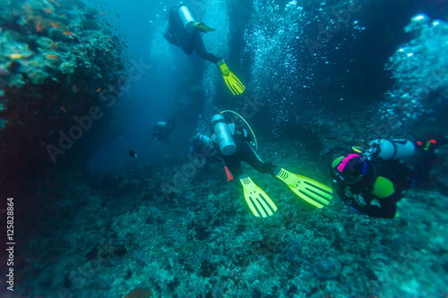 A group of divers near a coral wall