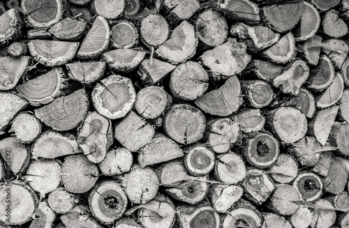 Pile of various essences of wood stacked cracked with spiderweb