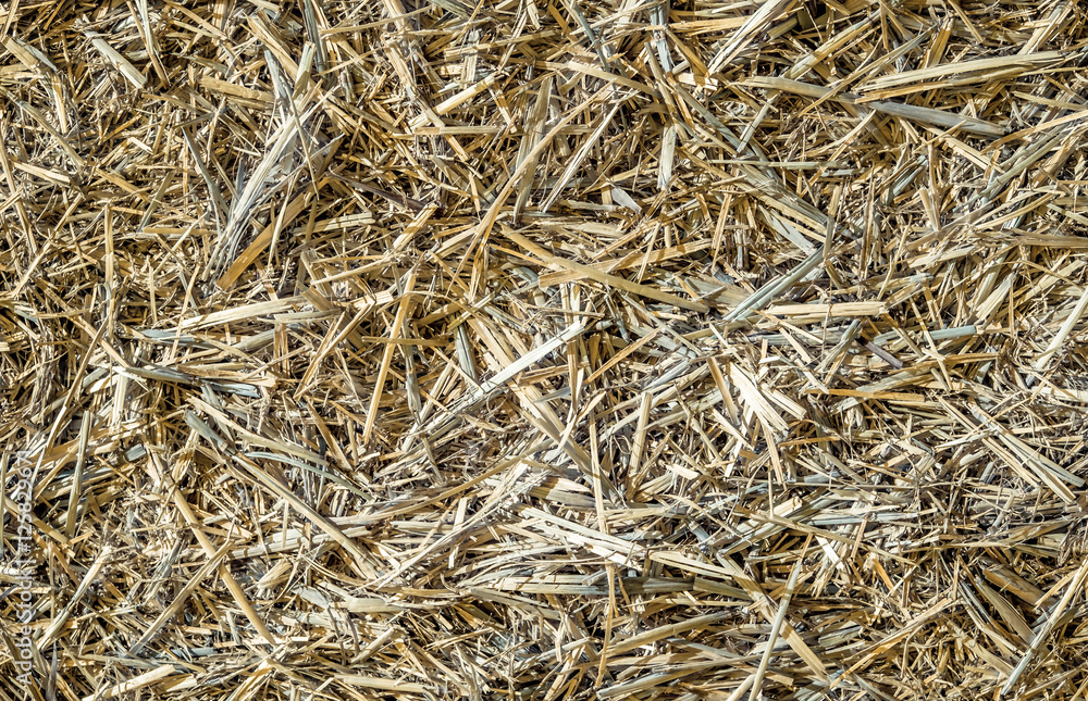 Retro style, Ground covered with mowed wheat ears and straw. Abstract texture background. Retro style, Ground covered with mowed wheat ears and straw. Abstract texture background.