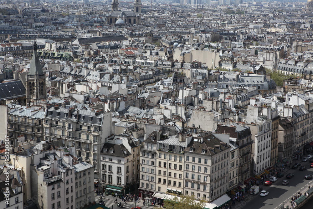Paris view from  Notre Dame Cathedral, France