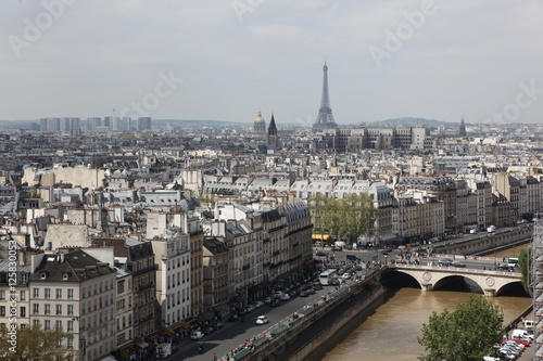 Paris and Notre Dame Cathedral - Paris famous of all Chimeras,