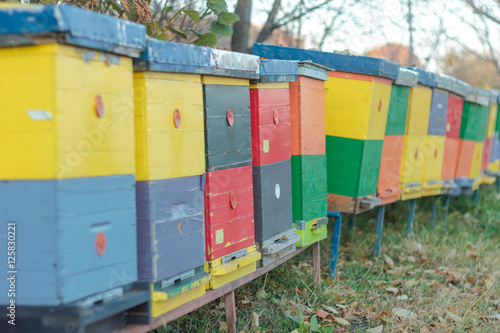 Beehive colony © miroslavrc