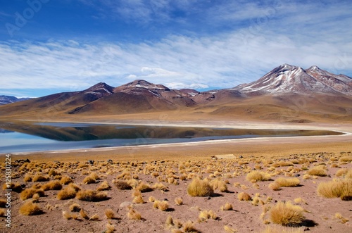 Panoramic view of the Laguna Altiplanica which is a high plateu Lagoon in the area of San Pedro de Atacama in Chile, South America photo