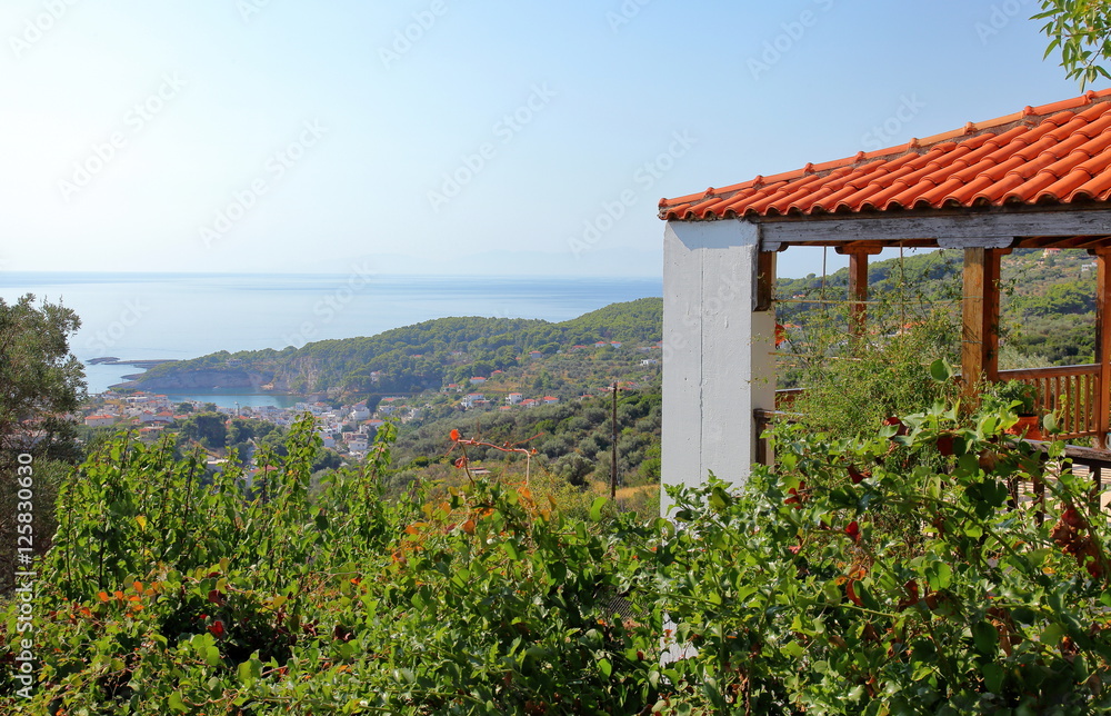 Fototapeta premium Summerhouse