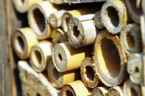 Südtirol - Insektenhotel Makro