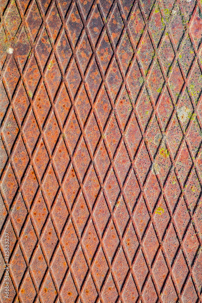 Texture of ribbed rusty metal with lichen. Texture of ribbed rusty metal with lichen.