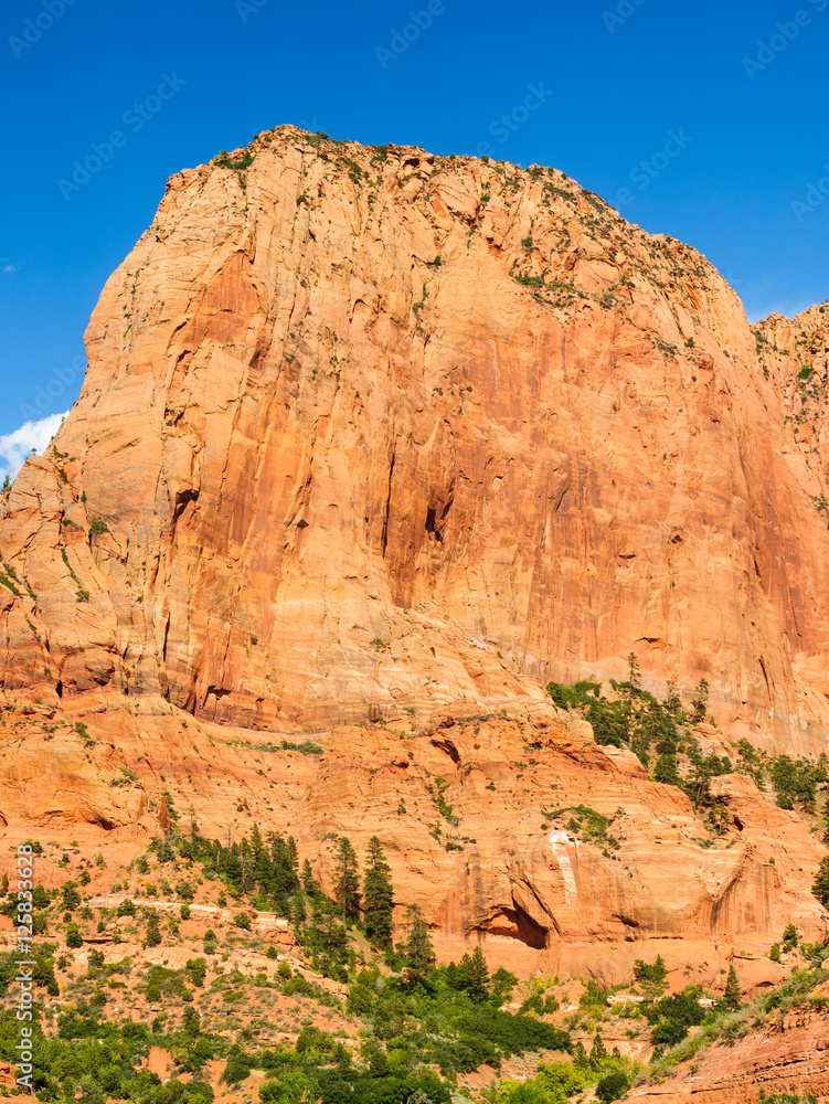 Fototapeta premium Zion National Park
