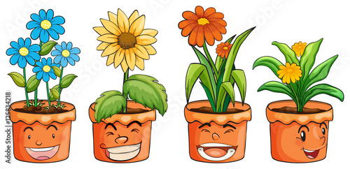 Four pots of flowers
