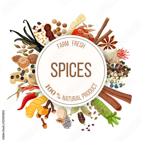 Culinary spices big set