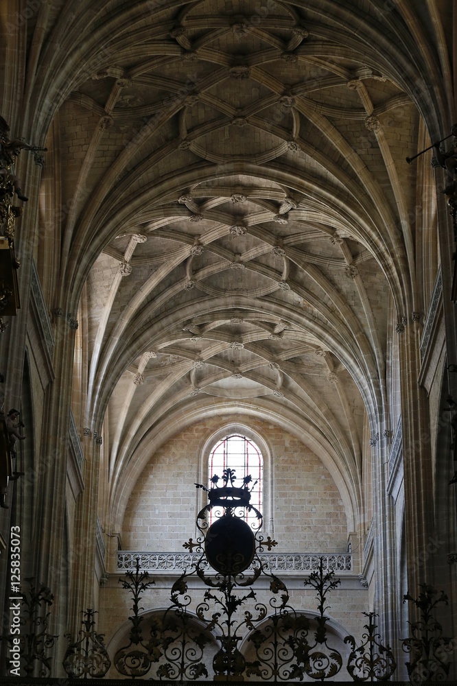 Fototapeta premium Santa Iglesia Catedral de Nuestra Señora de la Asunción y de San Frutos de Segovia, conocida como la Dama de las Catedrales estilo gótico,Castilla y León,España