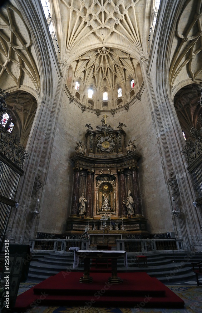 Fototapeta premium Santa Iglesia Catedral de Nuestra Señora de la Asunción y de San Frutos de Segovia, conocida como la Dama de las Catedrales estilo gótico,Castilla y León,España