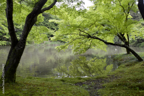 森の池