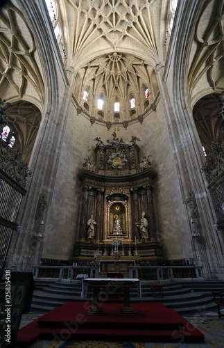 Santa Iglesia Catedral de Nuestra Se  ora de la Asunci  n y de San Frutos de Segovia  conocida como la Dama de las Catedrales estilo g  tico Castilla y Le  n Espa  a    
