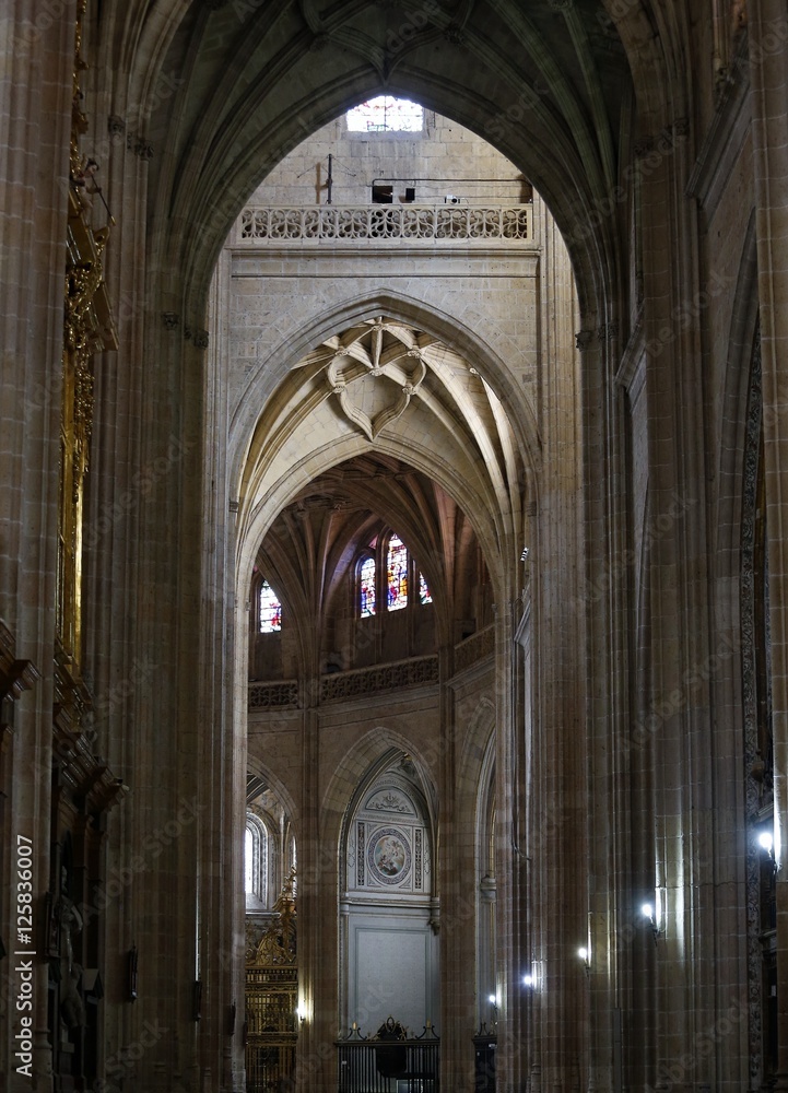 Santa Iglesia Catedral de Nuestra Señora de la Asunción y de San Frutos de Segovia, conocida como la Dama de las Catedrales estilo gótico,Castilla y León,España

