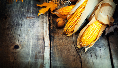 Thanksgiving Day. Wooden table decorated with corncobs and leaves background