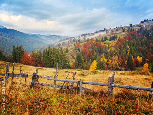 Colorful autumn landscape scene with fence in Transylvania