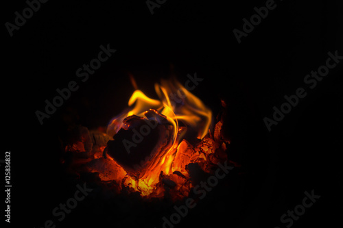 Wood burning in the fireplace © prokop.photo