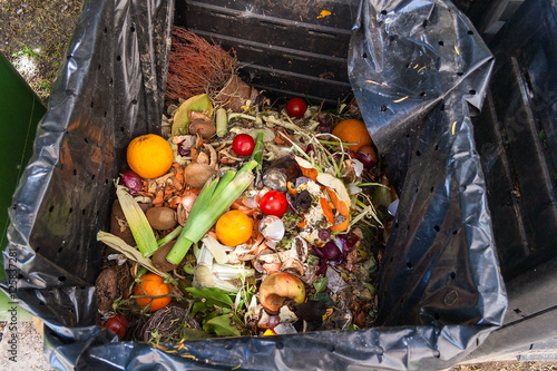 fresh household scrap in the compost bin photo