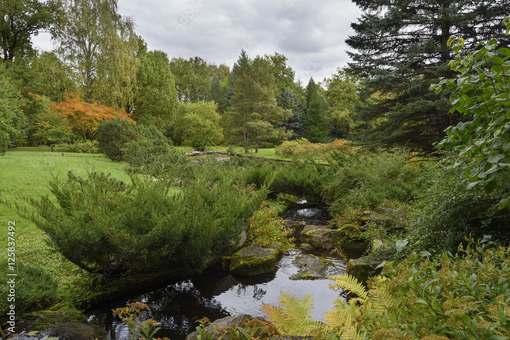 the small stream in the woody park