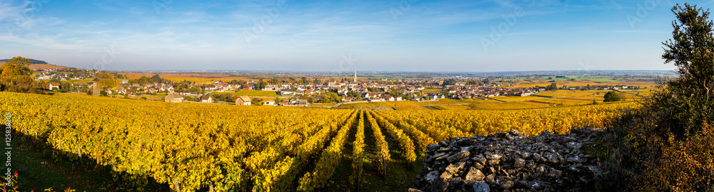 Vignes de Meursault