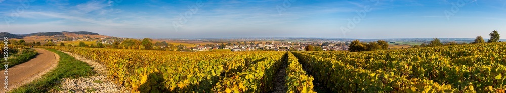 Vignes de Meursault
