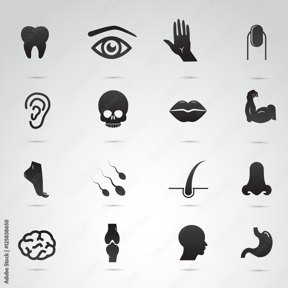 Human body parts icon set. Vector art. Stock-Vektorgrafik | Adobe Stock