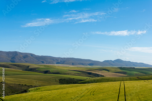 South African Farmland and Meadows close to Hermanus
