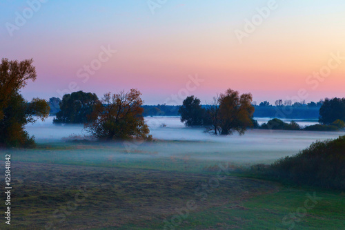 Evening mist on meadow at sunset, silhouette trees © lukszczepanski