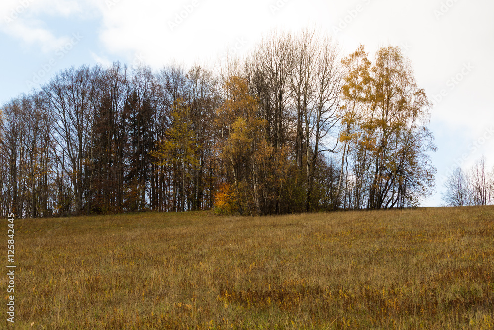 Fototapeta premium Autumn Landscape with Sunrise - Sunset and Sun Light on Tree