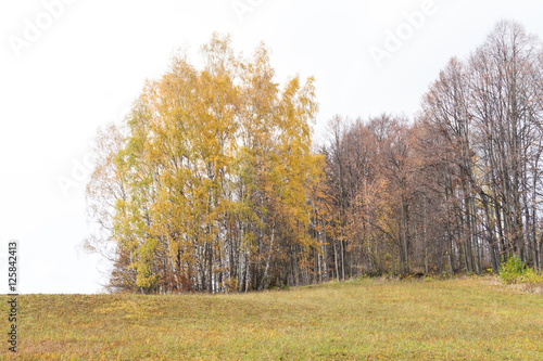 Autumn Landscape with Sunrise - Sunset and Sun Light on Tree